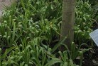 Wivenhoe Pocketplant-nursery-23.jpg; ?>
