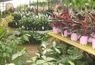 Wivenhoe Pocketplant-nursery-7.jpg; ?>