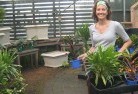 Wivenhoe Pocketplant-nursery-9.jpg; ?>